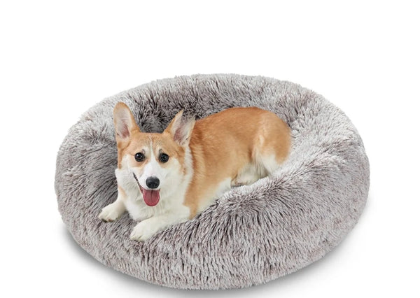 Fluffy Bear Dog Bed, Soft, Cozy, and Warm Your Pup's Ultimate Comfort Haven