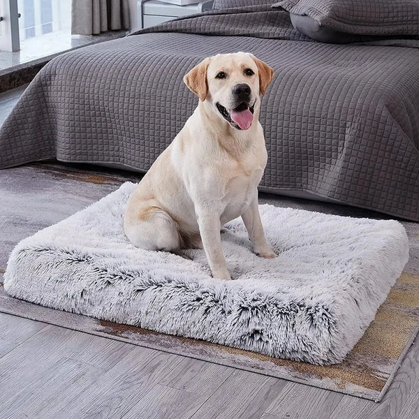 Orthopedic Comfort Haven Supportive Dog Bed for Joint Relief