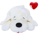 Anxiety Relief Heartbeat Toy - DreammyDoggie