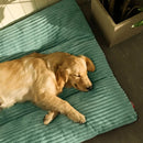 Anxiety Relief Luxury Extra Large Corduroy Dog Bed - Comfortable, plush bed designed to reduce anxiety in large dogs, made from soft corduroy fabric. - DreammyDoggie