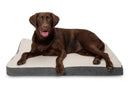 Big Dog Bed Plush Memory Foam - DreammyDoggie