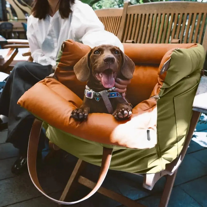 Booster Dog Car Seat - DreammyDoggie