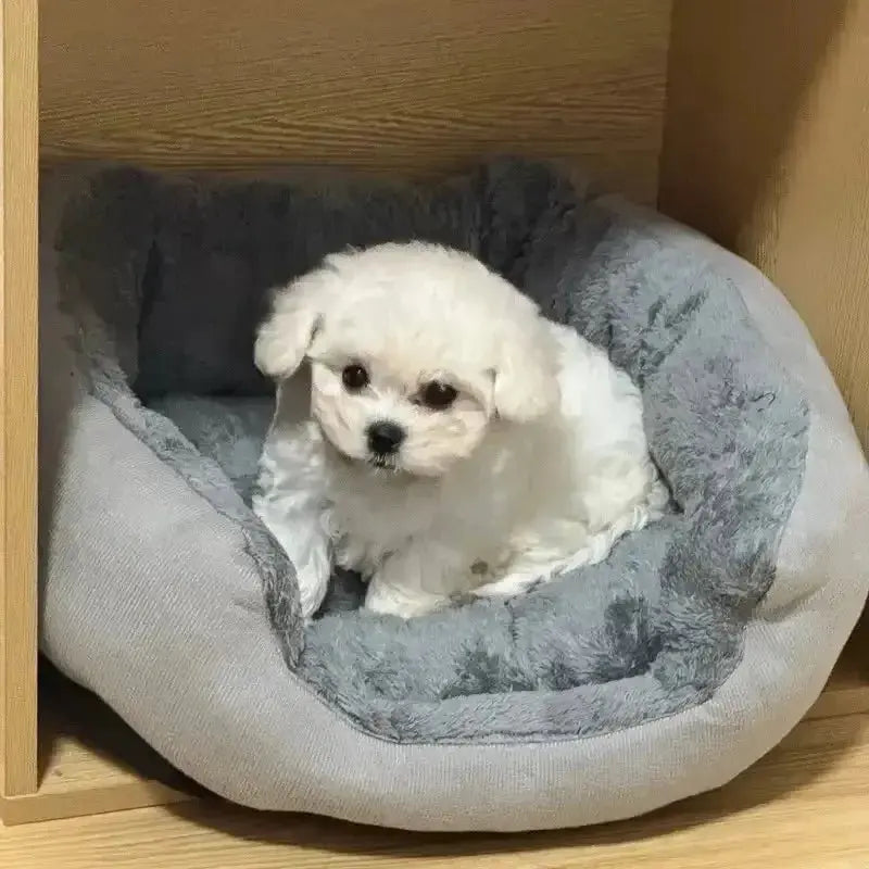 Cozy Haven: Soft Warm Dog Bed for Ultimate Comfort - DreammyDoggie