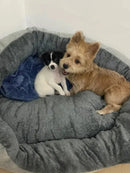 Cozy Haven: Soft Warm Dog Bed for Ultimate Comfort - DreammyDoggie