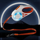 Dog Leash Led Lights Streamer - DreammyDoggie