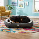 DreammyDoggie 3D memory foam dog bed with a grey ribbed bolster and white cushioned center, occupied by a sleeping dog.