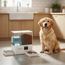 DreammyDoggie automatic dog feeder and water fountain with stainless steel bowls in a modern kitchen with a golden retriever