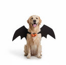 DreammyDoggie golden retriever wearing a black bat wing Halloween costume with cute pumpkin bells on a white background