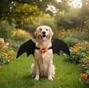 DreammyDoggie golden retriever wearing black bat wing Halloween costume with pumpkin bells in a garden