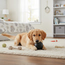 DreammyDoggie golden retriever puppy chewing on a black, tear-resistant, food-grade TPR anxiety toy on a rug.