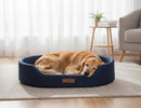 DreammyDoggie blue waterproof sofa dog bed with raised edges and a sleeping golden retriever on a living room rug