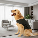 DreammyDoggie CalmGuard reflective dog anxiety vest in gray worn by a golden retriever in a modern living room.
