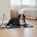 DreammyDoggie chew-resistant blue heating pad with a Bernese Mountain Dog resting comfortably on it indoors.
