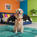 DreammyDoggie golden retriever wearing black bat wing Halloween costume with festive pumpkin bells in a colorful room