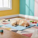 DreammyDoggie puppy sleeping peacefully on a light blue self-cooling gel mat on a patterned rug in a colorful room.