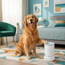 DreammyDoggie electrical paw washer with soft silicone bristles being used by a happy golden retriever in a bedroom