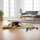 DreammyDoggie green foldable travel dog mat with a beagle resting on it in a bright living room
