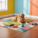 DreammyDoggie green foldable travel dog mat with a Golden Retriever resting on it in a colorful room.