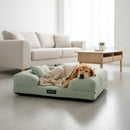 DreammyDoggie sage green sofa dog bed with a sleeping golden retriever covered by a cozy beige knit blanket