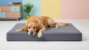 DreammyDoggie large grey orthopedic dog bed with egg-crate foam, featuring a golden retriever resting comfortably.