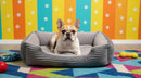 DreammyDoggie rectangular grey plush dog sofa bed with a French Bulldog resting inside on a colorful patterned rug.
