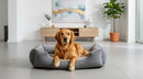 DreammyDoggie grey rectangular plush dog sofa bed with a golden retriever resting comfortably in a modern living room