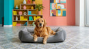 DreammyDoggie golden retriever resting in a grey rectangular plush dog sofa bed in a colorful living room