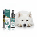DreammyDoggie hemp seed oil bottle and box with a calm white dog resting, promoting anxiety relief for pets.