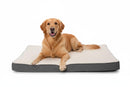 Golden Retriever resting on a DreammyDoggie orthopedic memory foam dog bed with a white top and gray sides