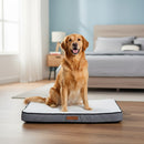 DreammyDoggie orthopedic memory foam dog bed with a waterproof grey cover, featuring a golden retriever sitting on top.