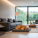 DreammyDoggie orthopedic memory foam dog bed in gray, providing comfortable support for a sleeping golden retriever.
