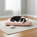 DreammyDoggie pink waterproof dog bed with a black and white dog sleeping on it in a bright living room