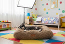 DreammyDoggie anxiety relief plush dog bed with a sleeping schnauzer in a colorful child's bedroom