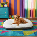 DreammyDoggie premium plush dog bed with a thick white cushion and grey base, featuring a golden retriever resting on top.