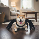 DreammyDoggie funny spider costume on a happy Shiba Inu dog lying on a wooden floor in a cozy living room