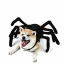 DreammyDoggie funny spider Halloween costume on a happy Shiba Inu dog with black plush legs on a white background