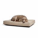 DreammyDoggie waterproof dog bed in beige with a Weimaraner resting comfortably on the plush memory cloth surface
