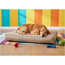 DreammyDoggie waterproof dog bed in beige with a golden retriever sleeping on it on a colorful rug
