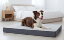 DreammyDoggie waterproof orthopedic dog bed in grey with a Border Collie resting comfortably in a bedroom.