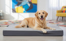DreammyDoggie waterproof orthopedic dog bed in grey with a golden retriever resting comfortably on it in a living room.