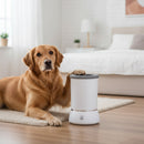 DreammyDoggie white electrical paw washer with soft silicone bristles being used by a golden retriever on a rug