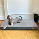 Extra Large Orthopedic Dog Bed - DreammyDoggie