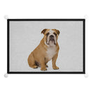 Foldable Pet Mesh Gate – Safe and Portable Dog Barrier - DreammyDoggie