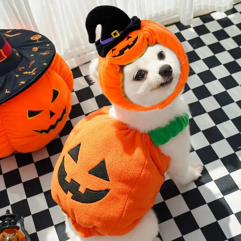 Halloween Costume Pumpkin Small Dogs DreammyDoggie