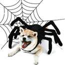 Halloween Dog Costume Funny Spider - DreammyDoggie