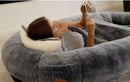 Luxury Human Dog Bed - DreammyDoggie