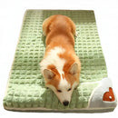 Orthopedic Memory Fluffy Dog Bed - DreammyDoggie